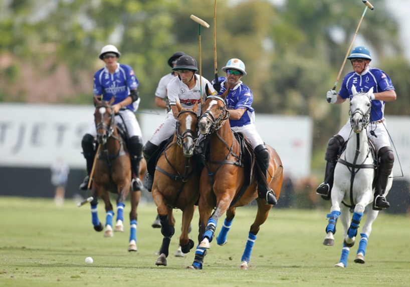 How to Play Polo?